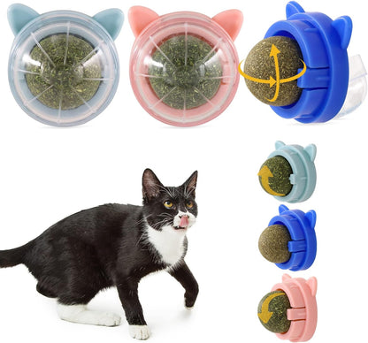 Catnip Wall Ball Cat Toy