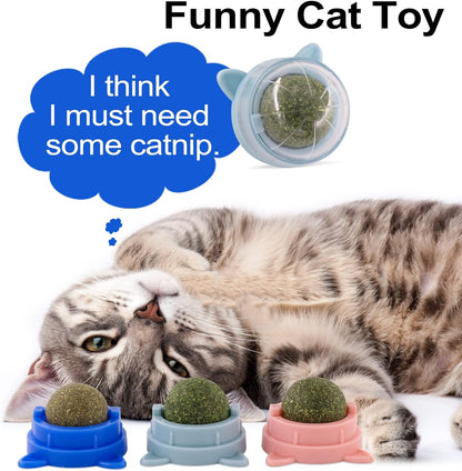 Catnip Wall Ball Cat Toy