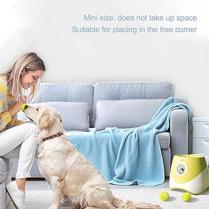 Automatic Tennis Ball Launcher for your Dog