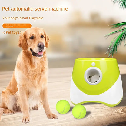 Automatic Tennis Ball Launcher for your Dog