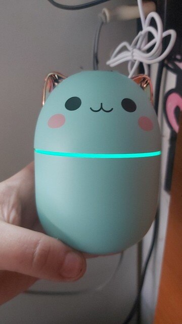 Cute Cat Humidifier 250ml