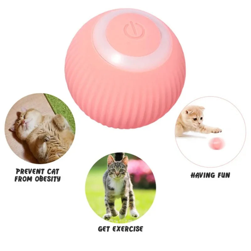 Smart Cat Ball Toy