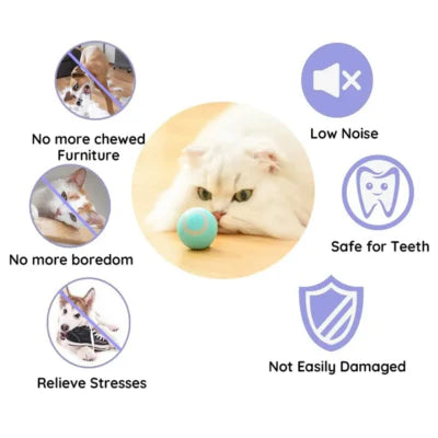 Smart Cat Ball Toy