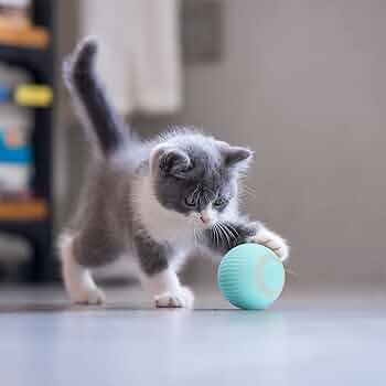 Smart Cat Ball Toy