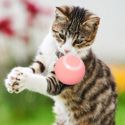 Smart Cat Ball Toy