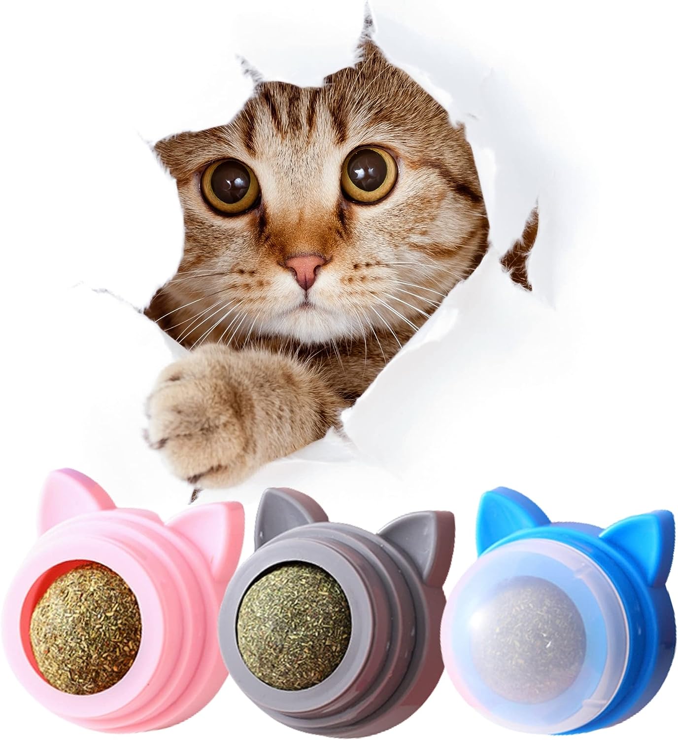 Catnip Wall Ball Cat Toy