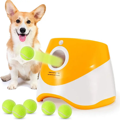 Automatic Tennis Ball Launcher for your Dog