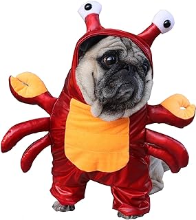 Paw-some™ Spooktacular Fur Baby Costume Line Up to 60% OFF TODAY