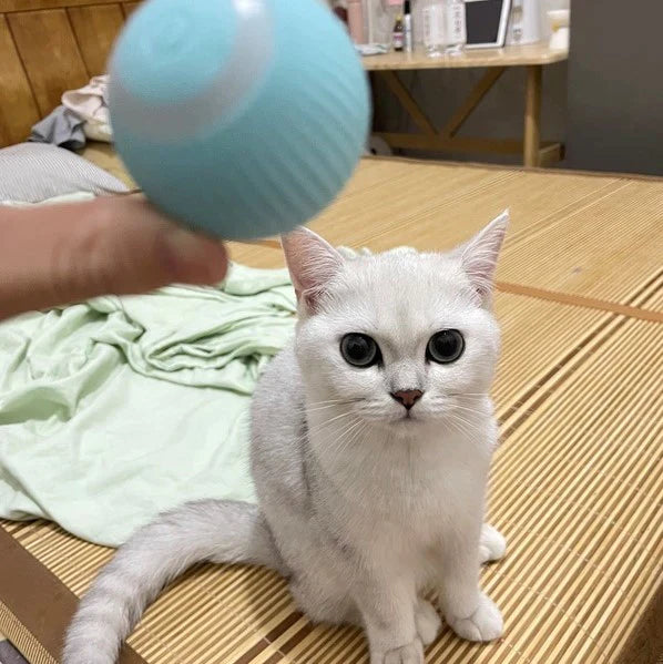 Smart Cat Ball Toy