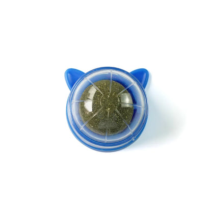 Catnip Wall Ball Cat Toy