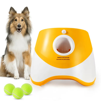 Automatic Tennis Ball Launcher for your Dog