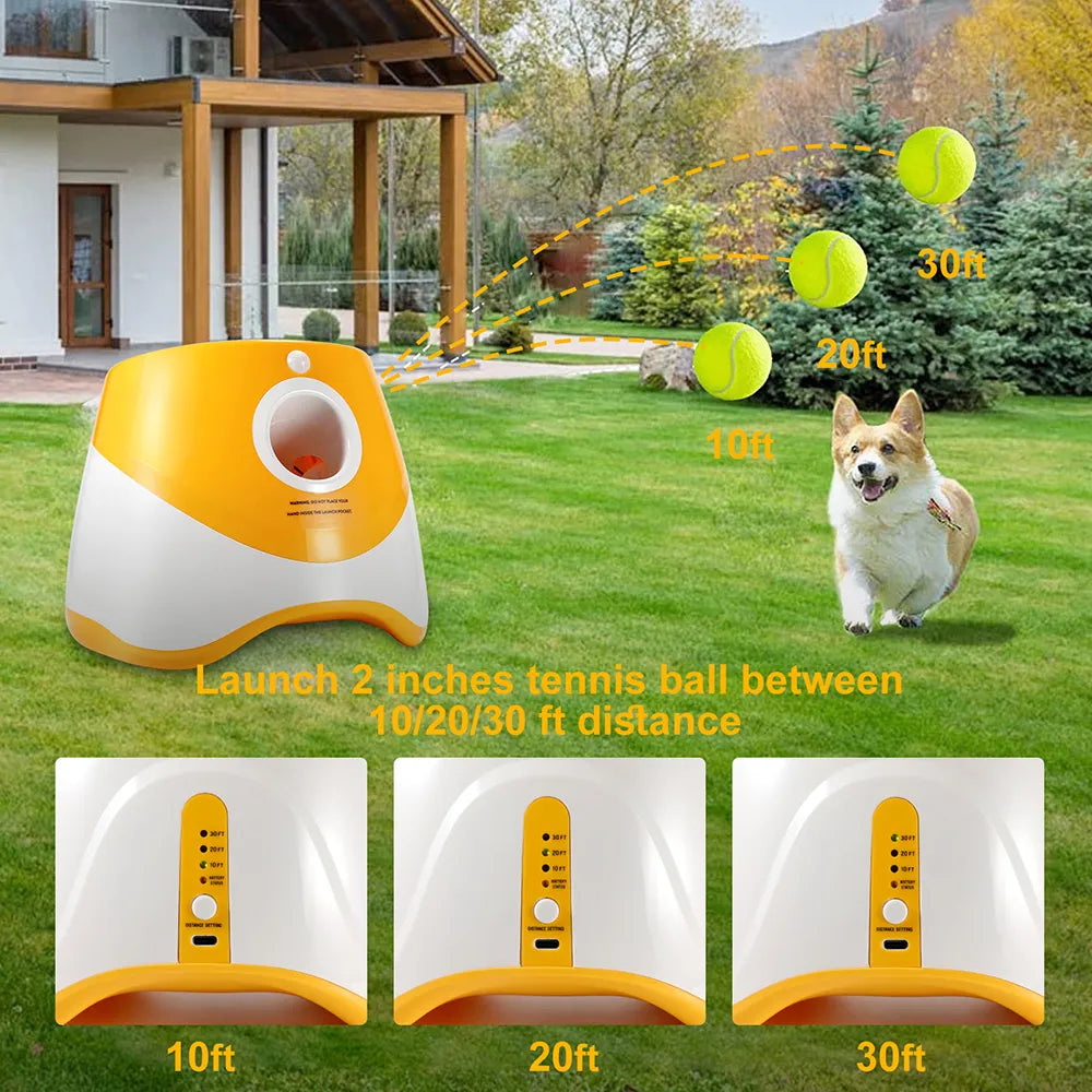 Automatic Tennis Ball Launcher for your Dog