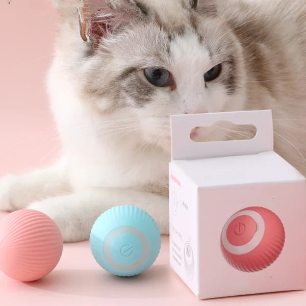 Smart Cat Ball Toy