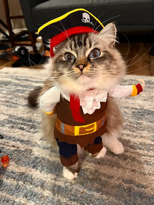 Paw-some™ Spooktacular Fur Baby Costume Line Up to 60% OFF TODAY