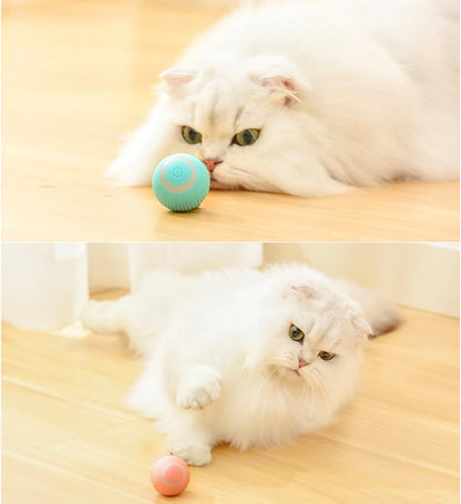 Smart Cat Ball Toy